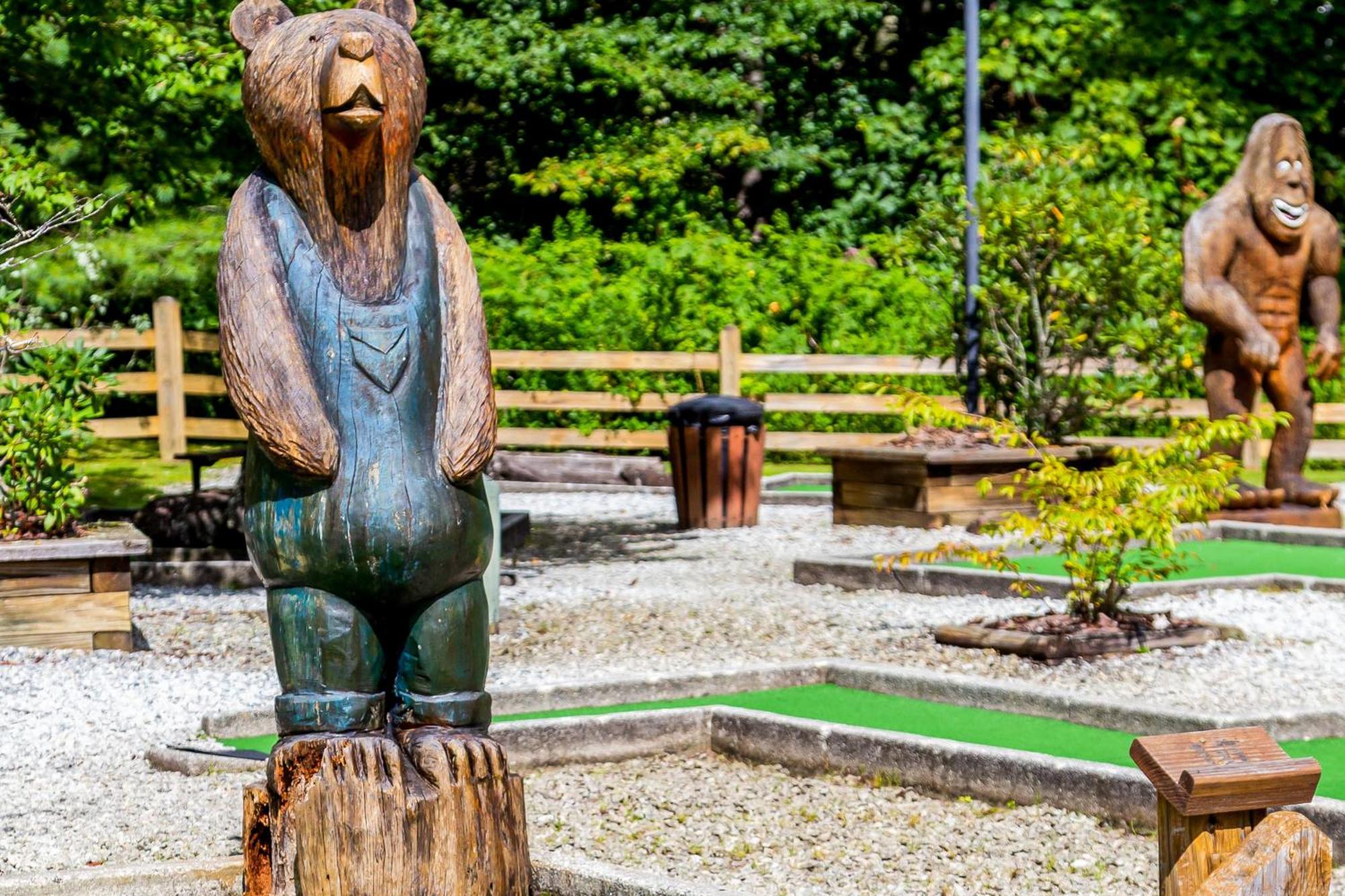 Bear Creek Cabin Сапфир Экстерьер фото